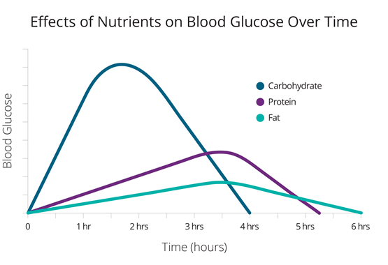 Effects of Nutrients on Blood Glucose Over Time